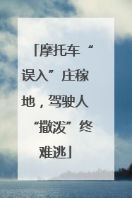 摩托车“误入”庄稼地，驾驶人“撒泼”终难逃