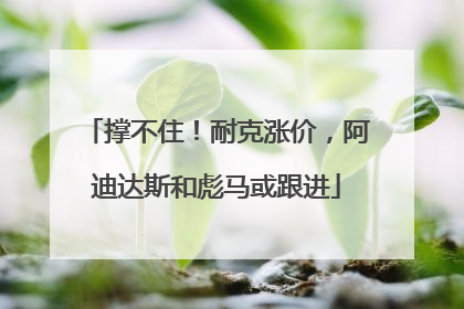 撑不住！耐克涨价，阿迪达斯和彪马或跟进