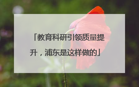 教育科研引领质量提升，浦东是这样做的
