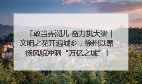 敢当弄潮儿 奋力挑大梁｜文明之花开遍城乡，徐州以昂扬风貌冲刺“万亿之城”