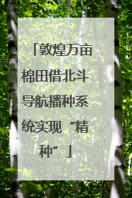 敦煌万亩棉田借北斗导航播种系统实现“精种”