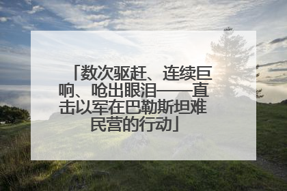 数次驱赶、连续巨响、呛出眼泪——直击以军在巴勒斯坦难民营的行动