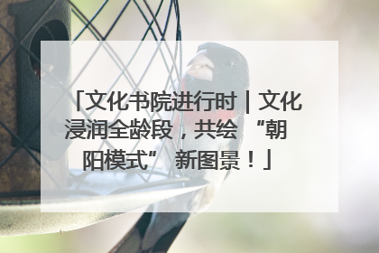 文化书院进行时｜文化浸润全龄段，共绘 “朝阳模式” 新图景！