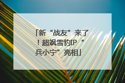新“战友”来了！超飒雪豹IP“兵小宁”亮相