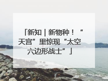 新知｜新物种！“天宫”里惊现“太空六边形战士”