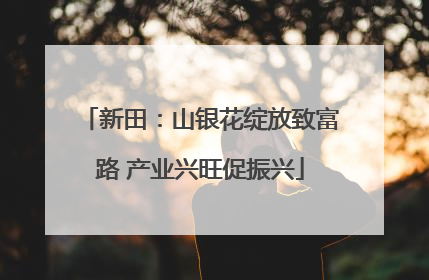 新田：山银花绽放致富路 产业兴旺促振兴