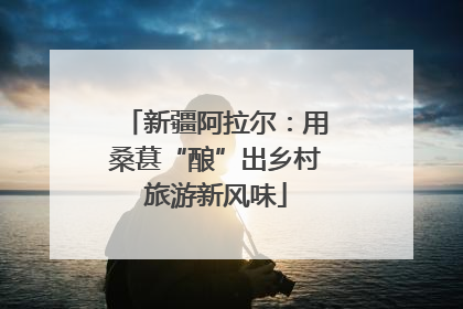 新疆阿拉尔：用桑葚“酿”出乡村旅游新风味