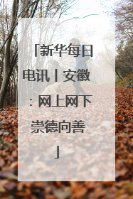 新华每日电讯丨安徽：网上网下 崇德向善