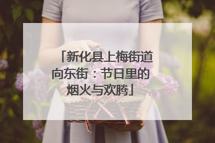 新化县上梅街道向东街：节日里的烟火与欢腾