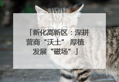 新化高新区：深耕营商“沃土” 厚植发展“磁场”