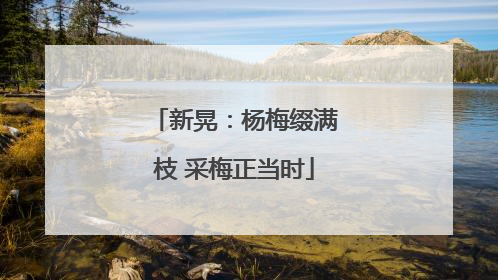 新晃：杨梅缀满枝 采梅正当时