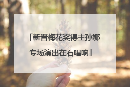 新晋梅花奖得主孙娜专场演出在石唱响