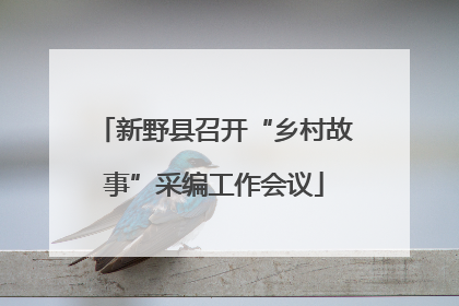 新野县召开“乡村故事”采编工作会议