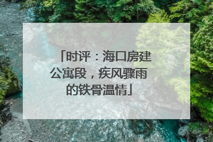 时评：海口房建公寓段，疾风骤雨的铁骨温情