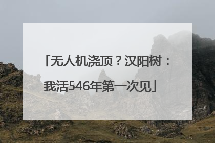 无人机浇顶？汉阳树：我活546年第一次见