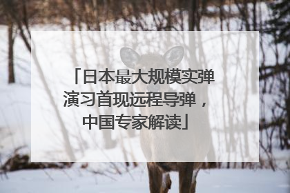 日本最大规模实弹演习首现远程导弹，中国专家解读