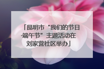 昆明市“我们的节日·端午节”主题活动在刘家营社区举办