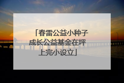 春雷公益小种子成长公益基金在坪上完小设立