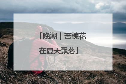 晚潮｜苦楝花在夏天飘落