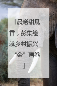 晨曦甜瓜香，彭集绘就乡村振兴“金”画卷