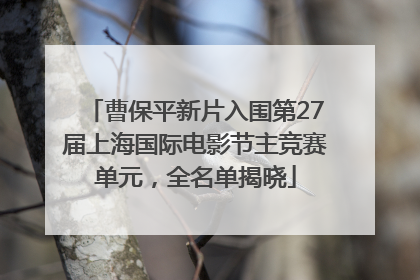 曹保平新片入围第27届上海国际电影节主竞赛单元，全名单揭晓