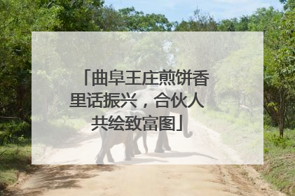 曲阜王庄煎饼香里话振兴，合伙人共绘致富图