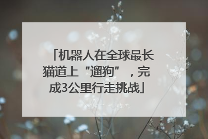 机器人在全球最长猫道上“遛狗”，完成3公里行走挑战