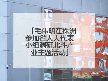 毛伟明在株洲参加省人大代表小组调研北斗产业主题活动