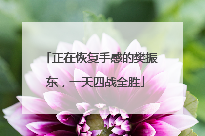 正在恢复手感的樊振东，一天四战全胜