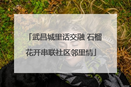 武昌城里话交融 石榴花开串联社区邻里情