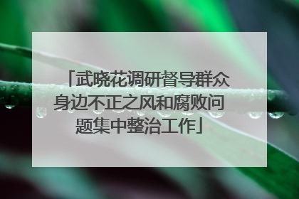 武晓花调研督导群众身边不正之风和腐败问题集中整治工作