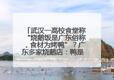 武汉一高校食堂称“烧鹅饭是广东俗称，食材为烤鸭”？广东多家烧鹅店：鸭是鸭鹅是鹅