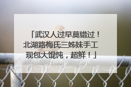 武汉人过早莫错过！北湖路梅氏三姊妹手工现包大馄饨，超鲜！