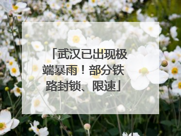 武汉已出现极端暴雨！部分铁路封锁、限速