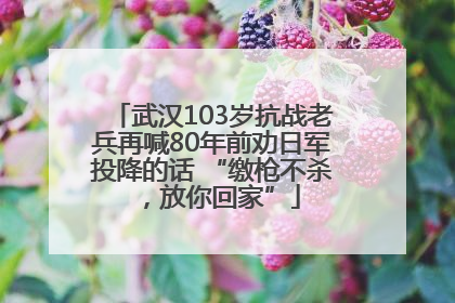 武汉103岁抗战老兵再喊80年前劝日军投降的话 “缴枪不杀，放你回家”