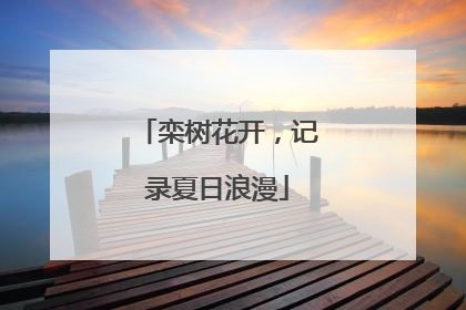 栾树花开，记录夏日浪漫