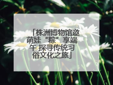 株洲博物馆邀萌娃“粽”享端午 探寻传统习俗文化之旅