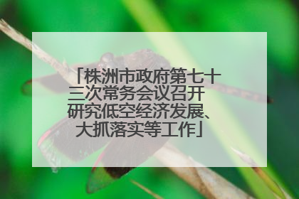 株洲市政府第七十三次常务会议召开 研究低空经济发展、大抓落实等工作