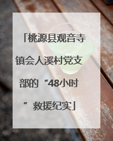 桃源县观音寺镇会人溪村党支部的“48小时”救援纪实