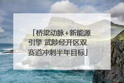桥梁动脉+新能源引擎 武陟经开区双赛道冲刺半年目标