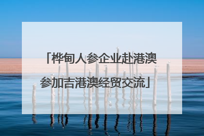 桦甸人参企业赴港澳参加吉港澳经贸交流