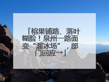 榕果铺路、落叶糊脸！泉州一路面变“溜冰场”，部门回应→