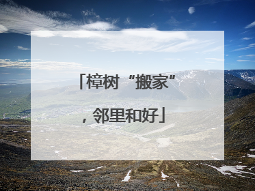 樟树“搬家”，邻里和好