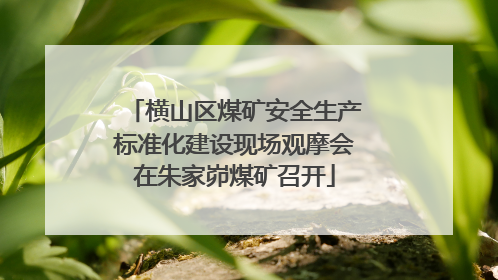 横山区煤矿安全生产标准化建设现场观摩会在朱家峁煤矿召开