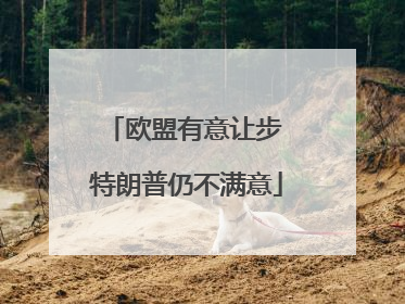 欧盟有意让步 特朗普仍不满意