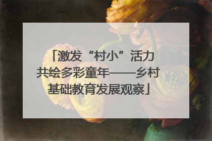 激发“村小”活力 共绘多彩童年——乡村基础教育发展观察