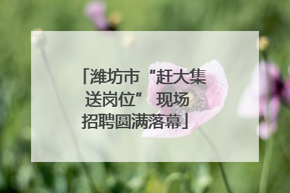 潍坊市“赶大集 送岗位” 现场招聘圆满落幕