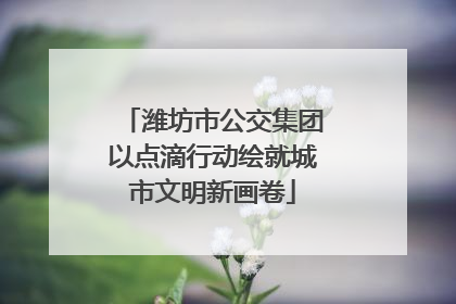 潍坊市公交集团以点滴行动绘就城市文明新画卷