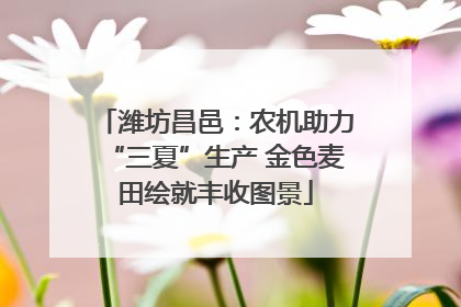 潍坊昌邑：农机助力“三夏”生产 金色麦田绘就丰收图景