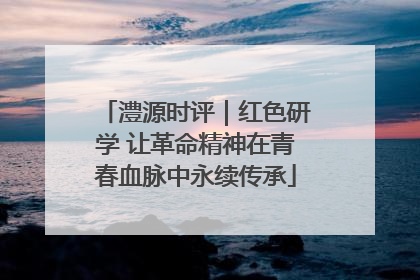 澧源时评｜红色研学 让革命精神在青春血脉中永续传承